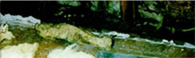 water tight insulation spray foam jackson tn